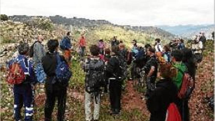 La Seu enceta les rutes guiades amb una sortida al camí Cardoner