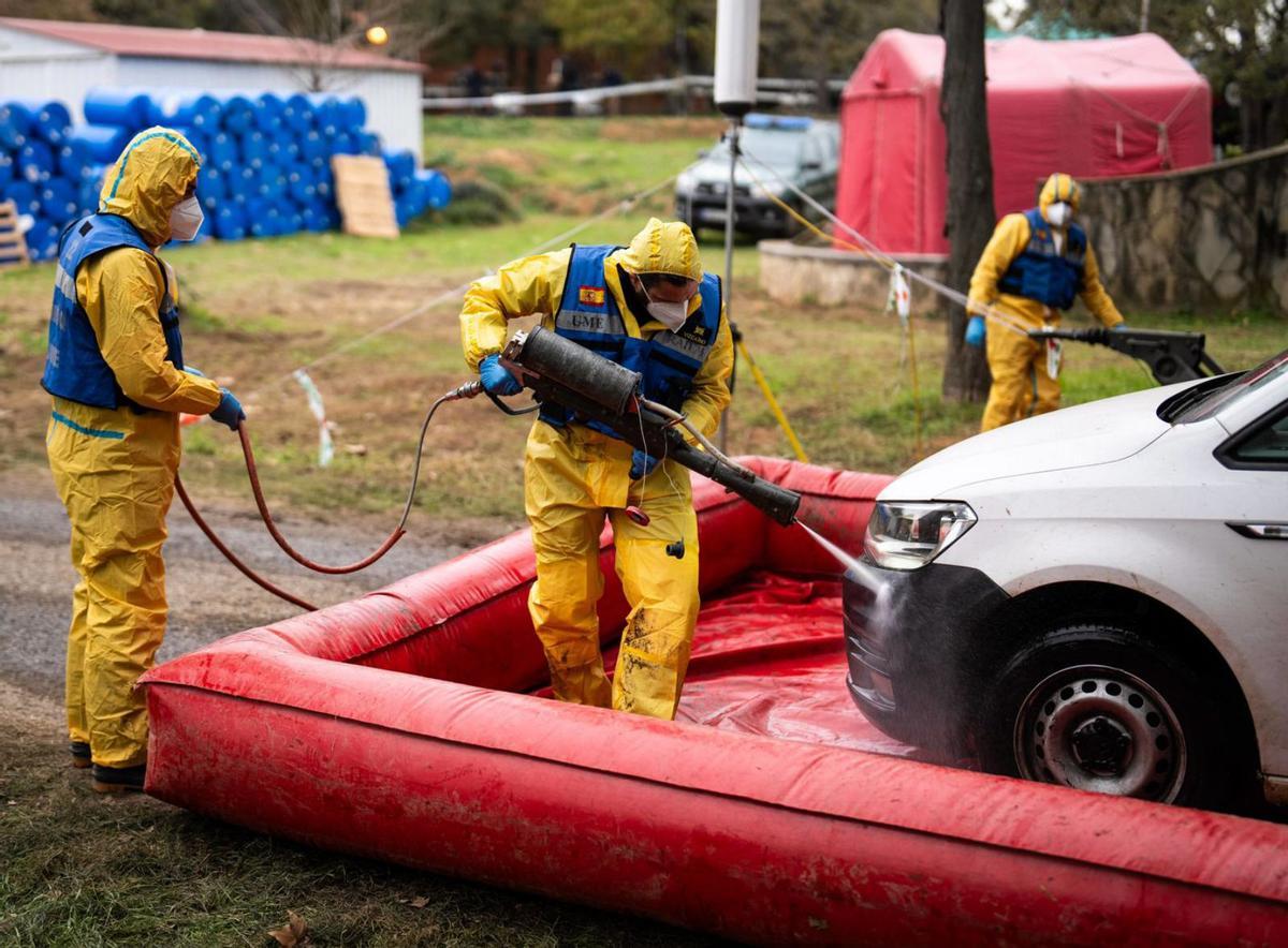 Guàrdia Civil i Mossos investiguen si la pesta porcina va sorgir d’un laboratori