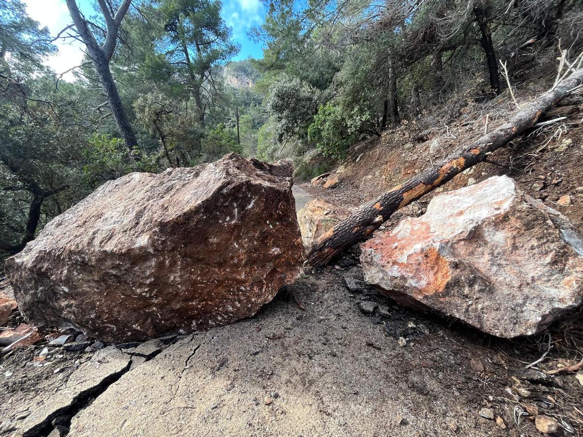 Rocas caídas de gran tamaño, esta semana, en es Verger (Esporles)