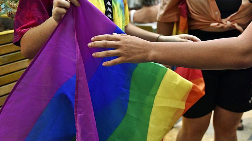 Dos chicos sujetan una bandera LGTBI.   | // DAVID OLLER