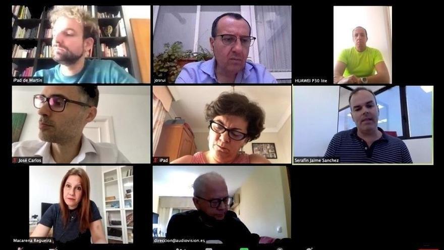 Reunión realizada por videoconferencia con diferentes agentes y entidades del sector cultural y el secretario general del PSOE de Málaga, José Luis Ruiz Espejo.