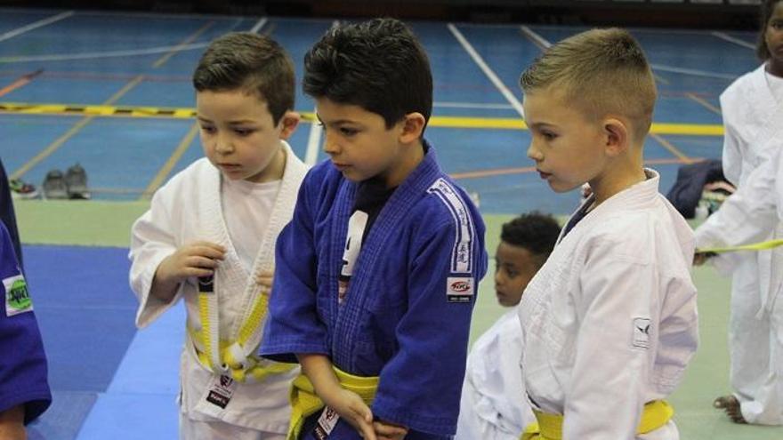 Más de 150 judokas de 5 clubes participan en el sexto Torneo Provincial en el Pabellón El Limón