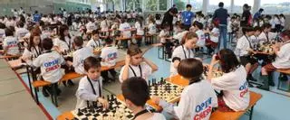 El Open Chess del Montecastelo reúne a 300 niños de Primaria