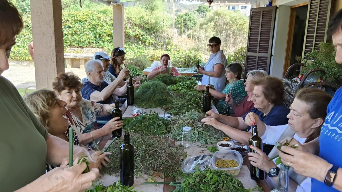 FOTOS | La elaboración de hierbas mallorquinas