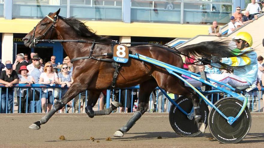 Trébol, con Biel Pou, en el hipódromo finlandés de Kouvola.