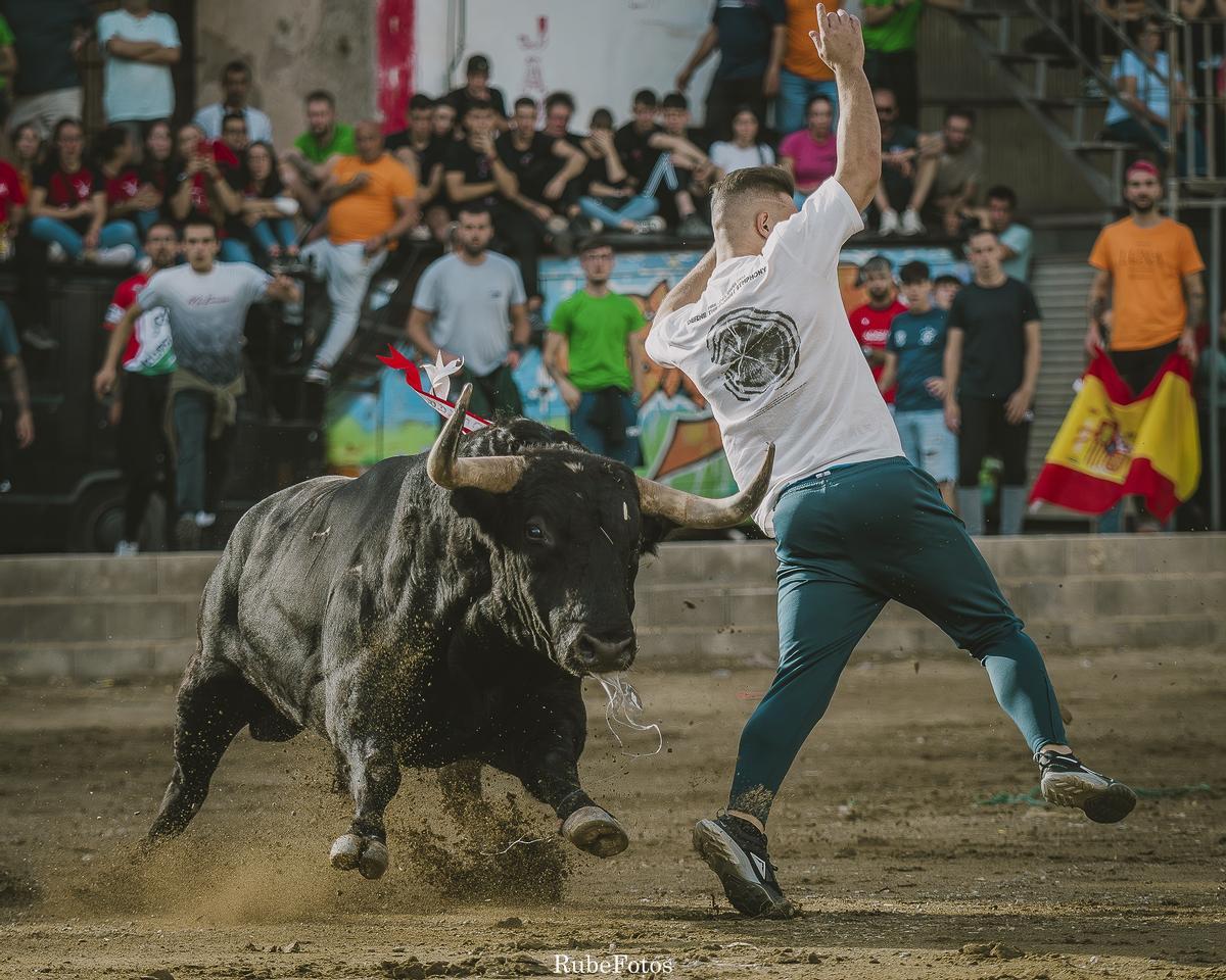 'Vigilante', número 14, de la ganadería de Arauz de Robles