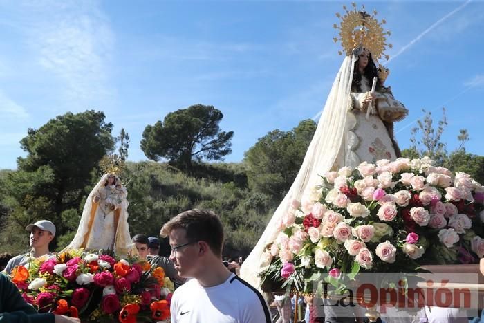 Romería de La Hoya (II)