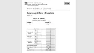 Examen de Lengua y Literatura Castellana de la Selectividad 2024 Catalunya