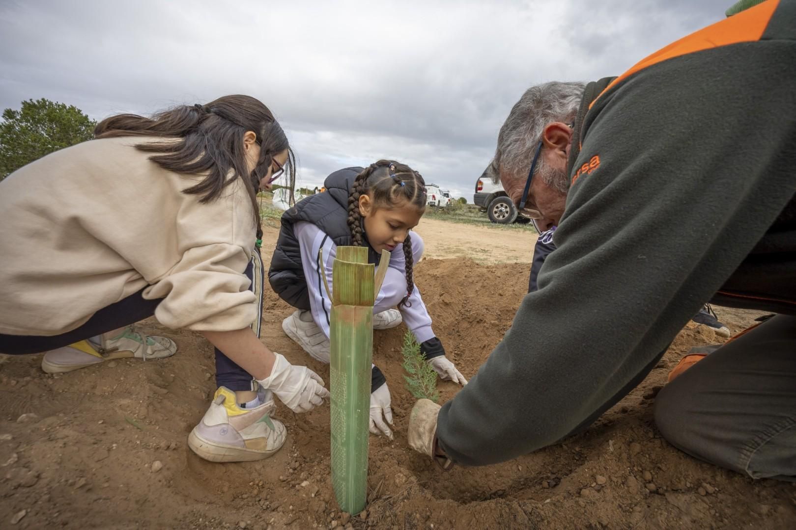 Jornada escolar plantación de especies autóctonas junto al parque natural de las lagunas de Torrevieja y La Mata