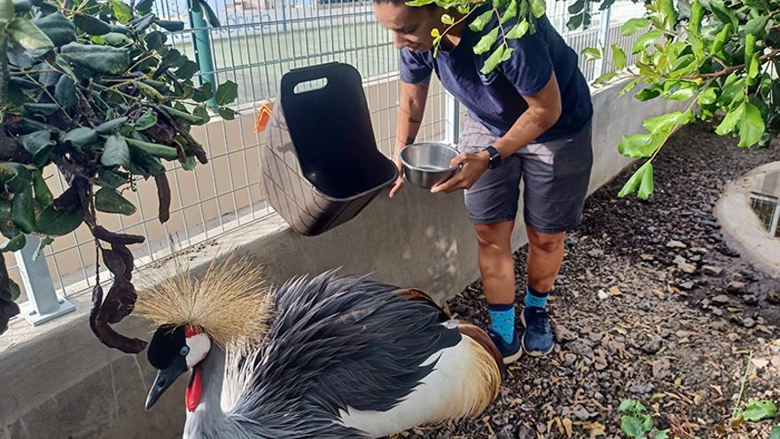 Santa Cruz recoge 465 animales exóticos en domicilios y calles durante este año