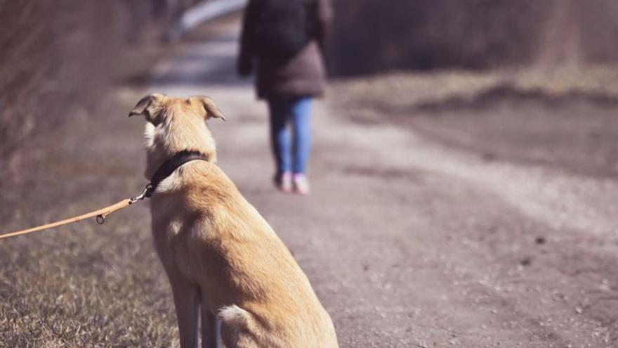 ¿Por qué algunos países europeos nos tienen abandonados?