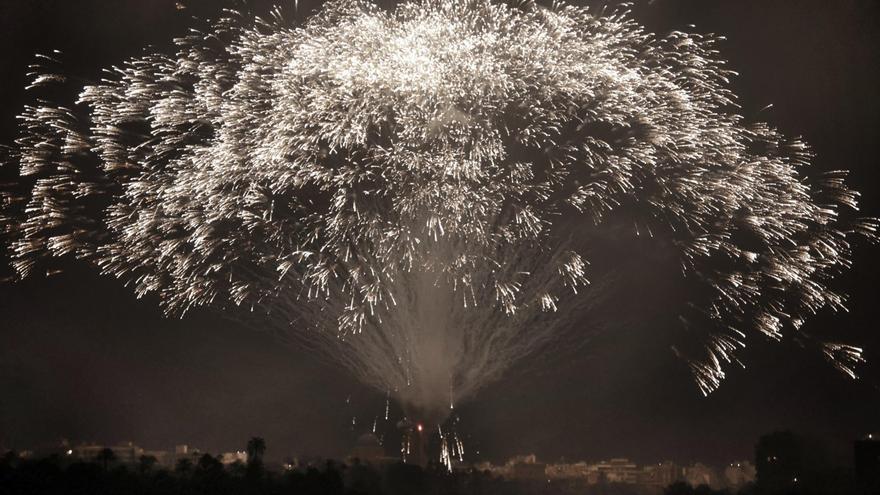 Palmera de la Virgen: así se ha iluminado la Nit de l´Albà 2024