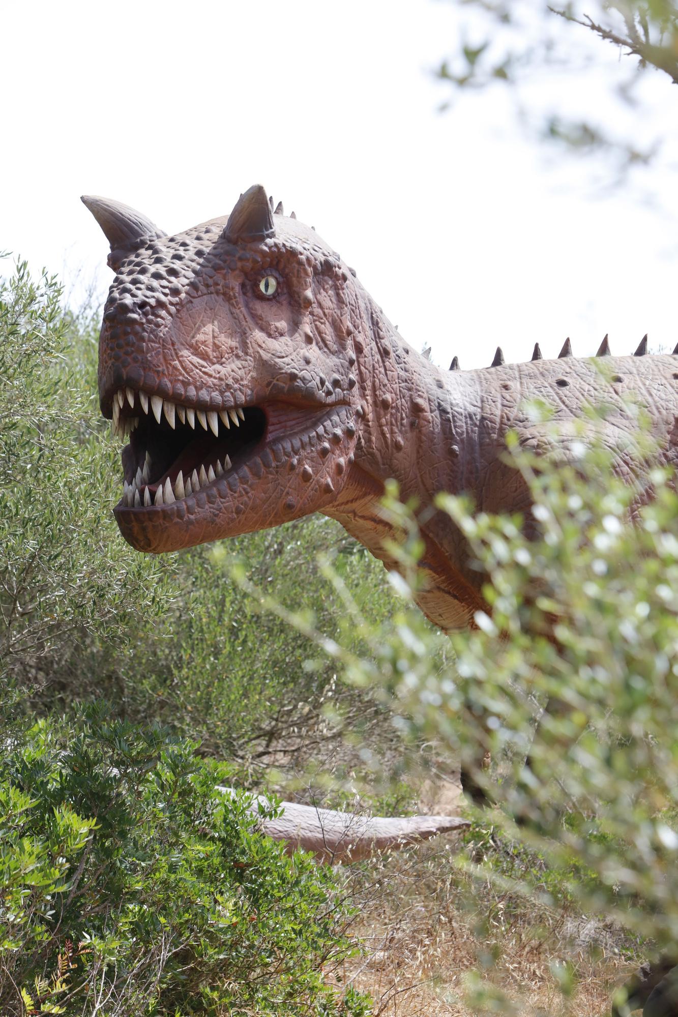 Besuch im neuen Dino-Park auf Mallorca