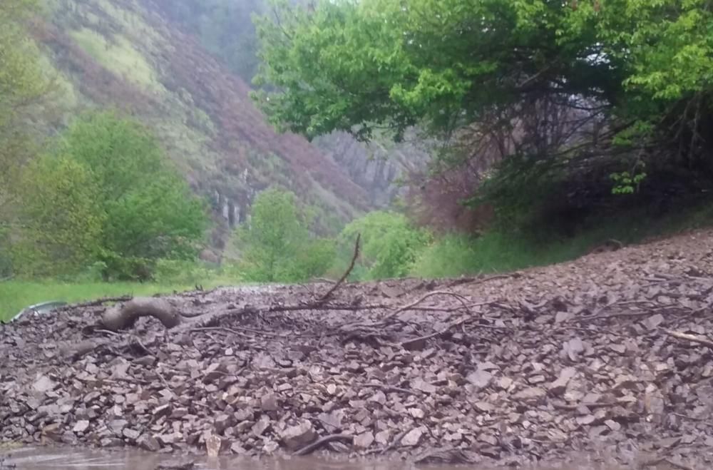 Un argayo corta la carretera regional en Fondos de Vega (Degaña)