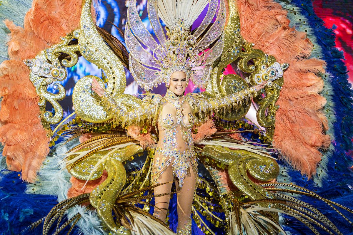 Cecilia Navarro Arteaga, Reina del Carnaval 2016