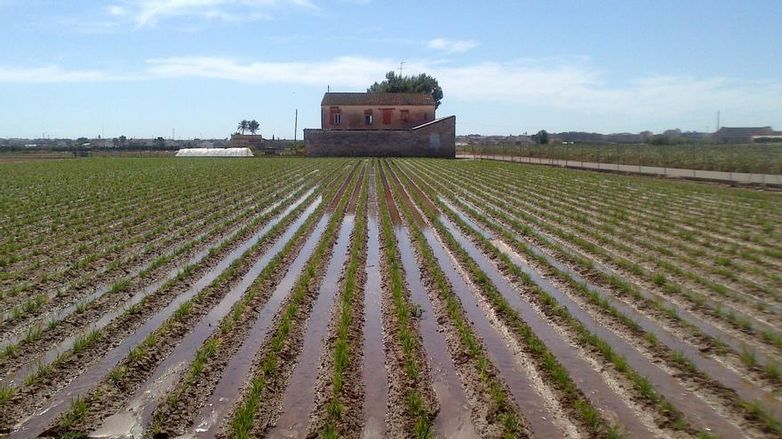 Denuncian que la actual modernización de regadíos aumenta el gasto de agua