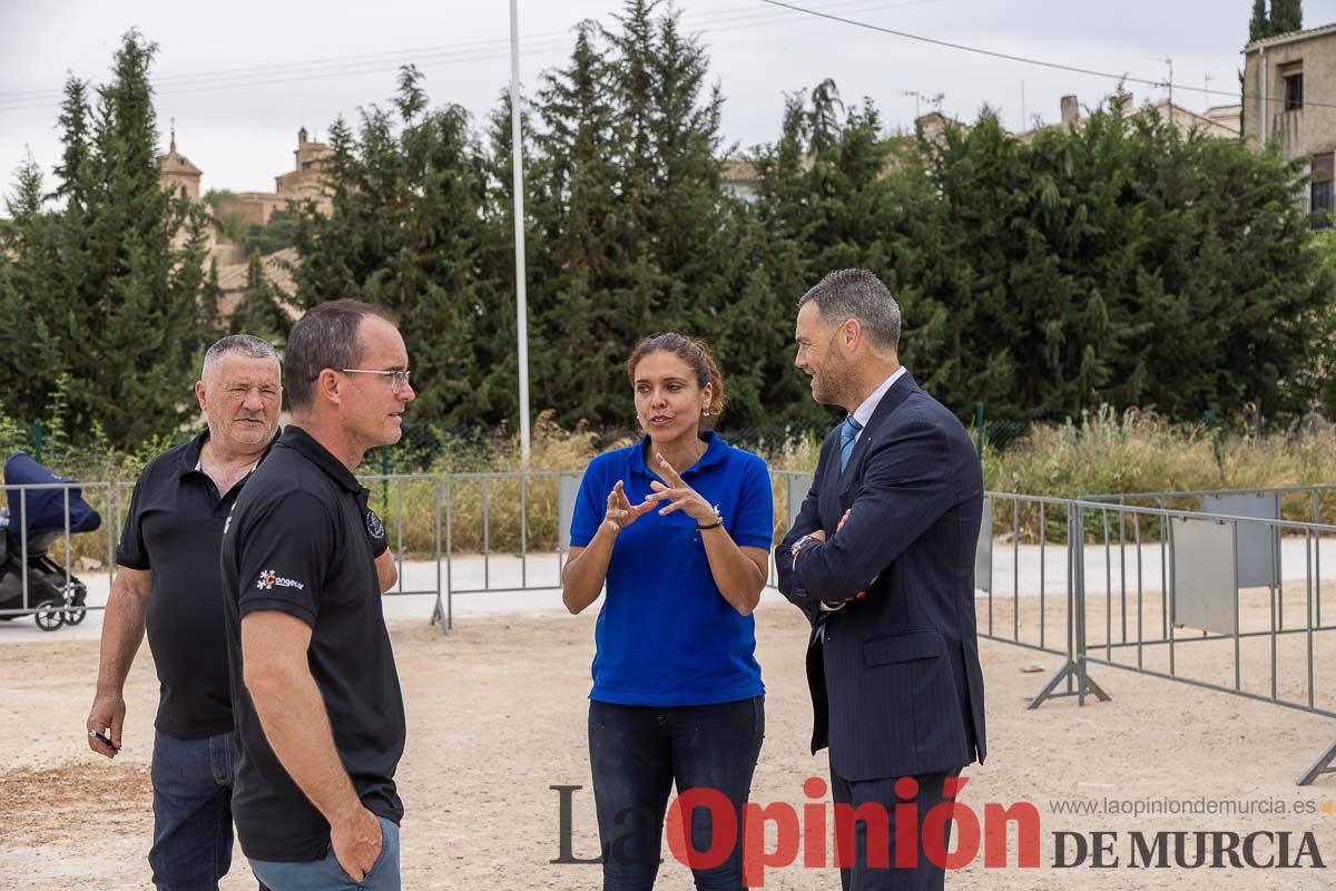 Control veterinario de los Caballos del Vino en Caravaca