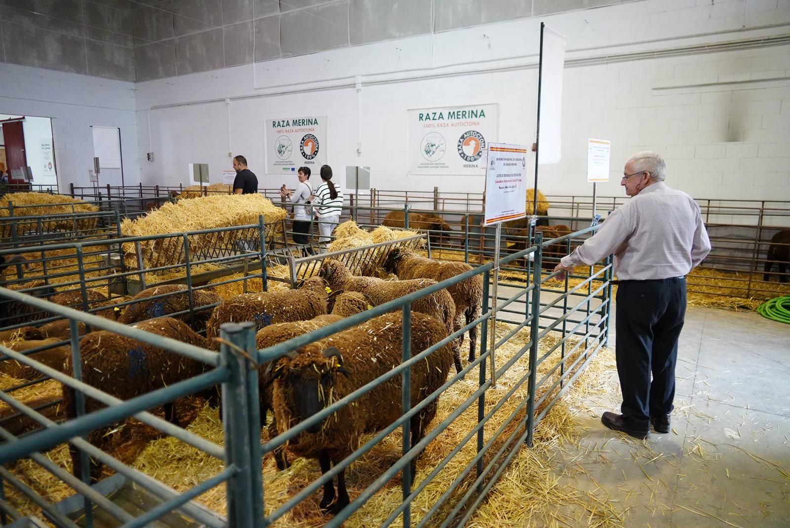 La Feria Agroganadera de Los Pedroches, en imágenes