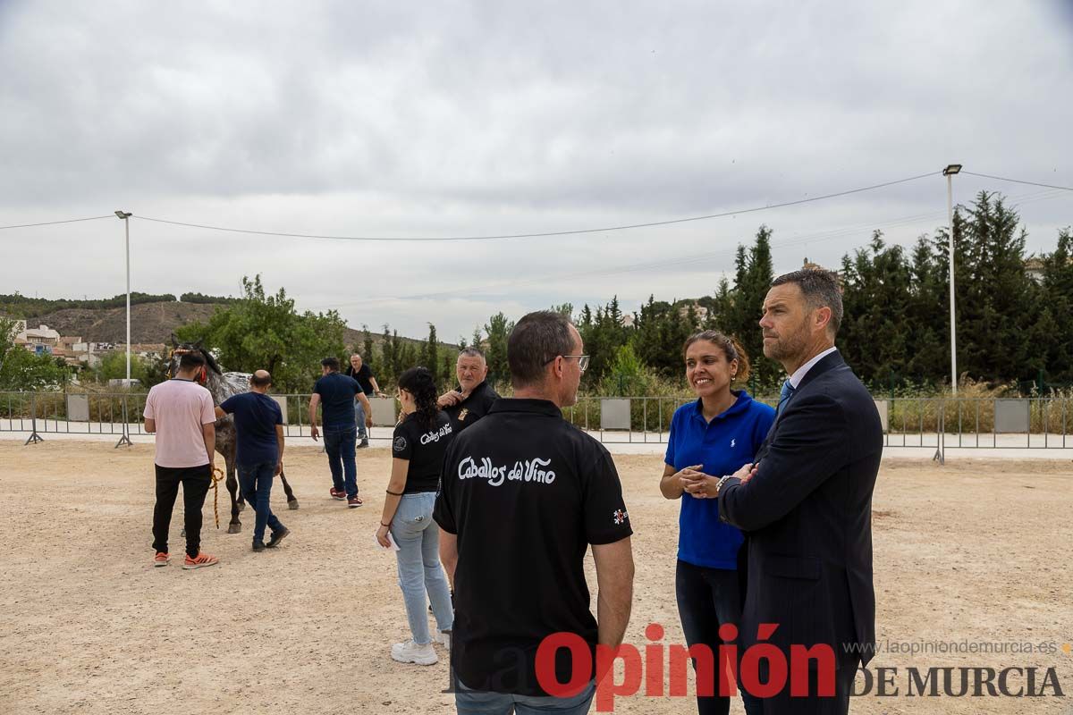 Control veterinario de los Caballos del Vino en Caravaca