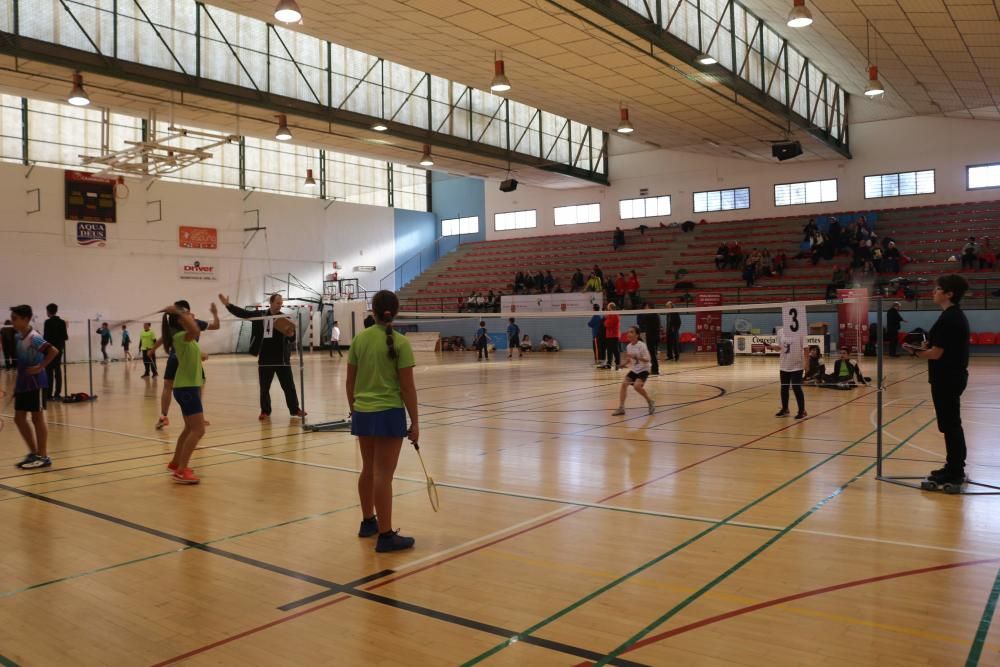 Final Regional de bádminton de Deporte Escolar