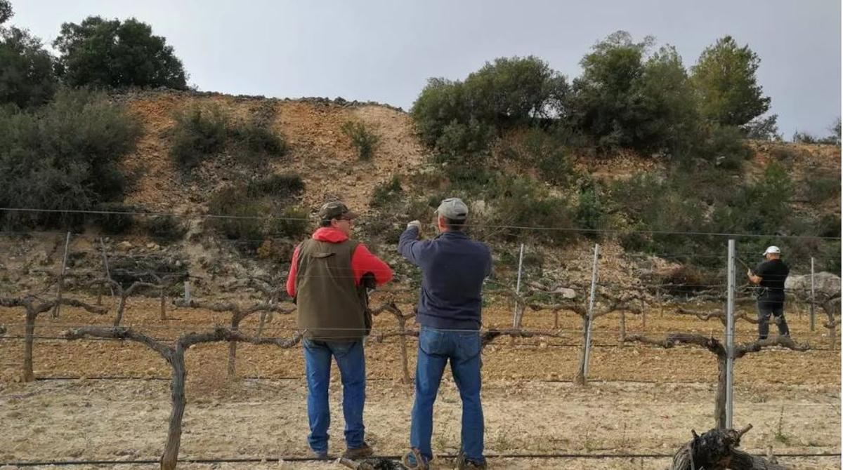Cazadores en plena actividad.