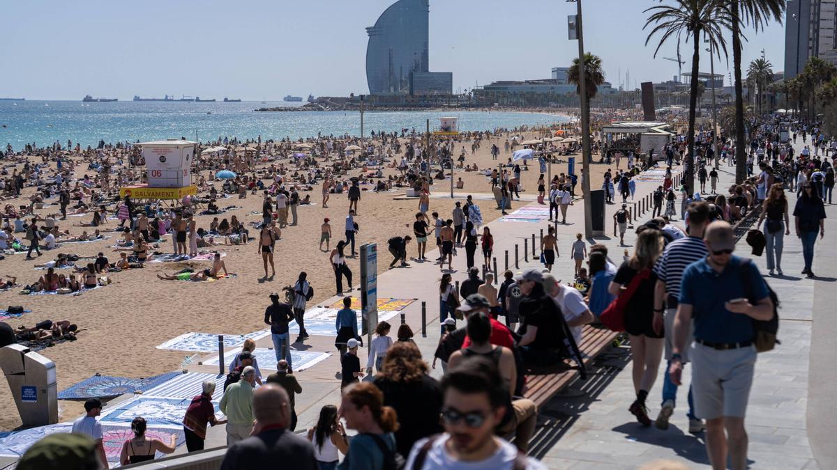 La Barceloneta.