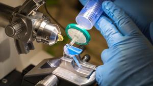 El sector de la investigació també rebutja la petició dels rectors que es mantingui la temporalitat