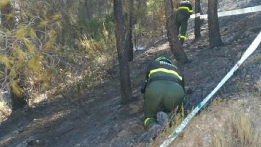 Agents Rurals en el lloc d&#039;un incendi.