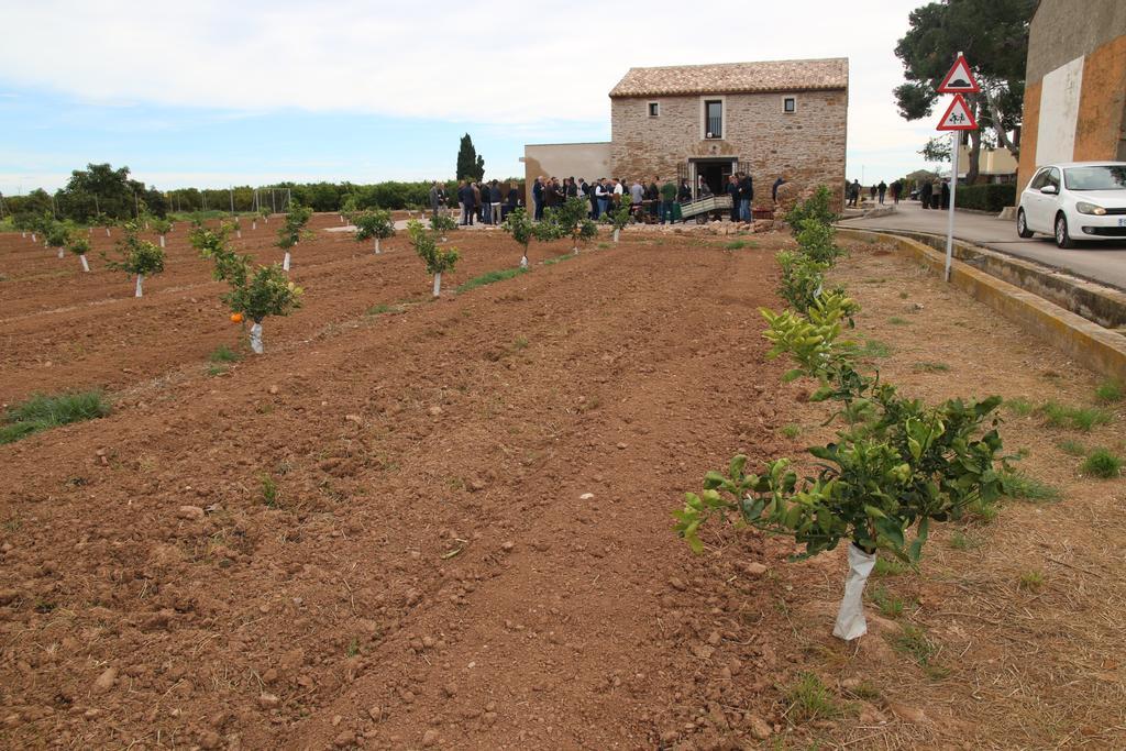 Vídeo: Proceso de transformación de una antigua alquería en el centro de interpretación de Burriana
