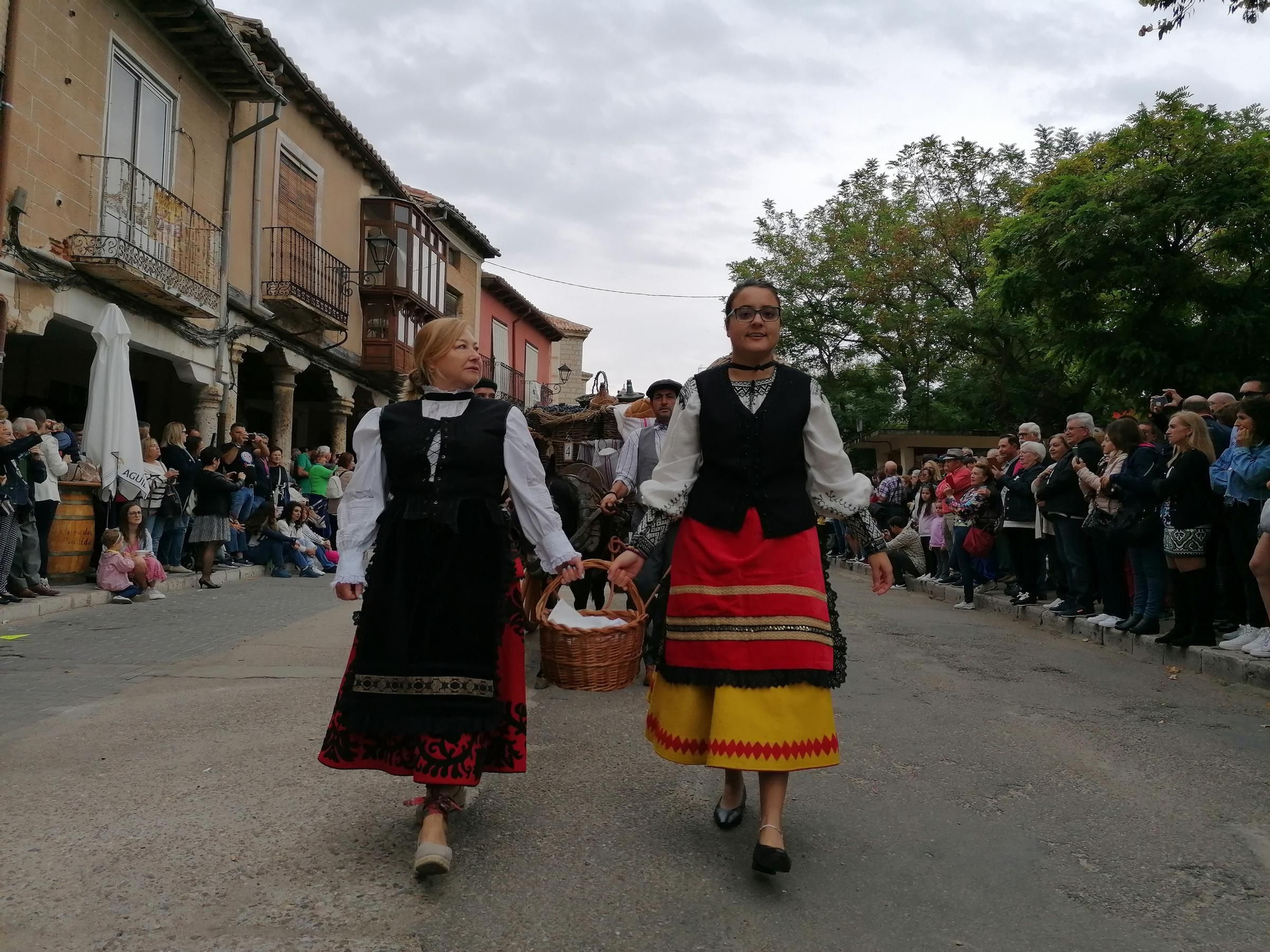 GALERÍA | Toro recrea la vendimia tradicional en el desfile de carros