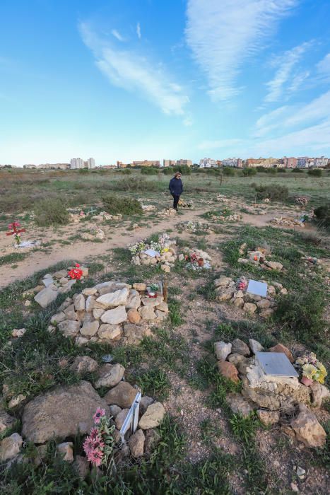 Junto al parque de Lo Albentosa de Torrevieja se extienden fosas y lápidas en una práctica no regulada