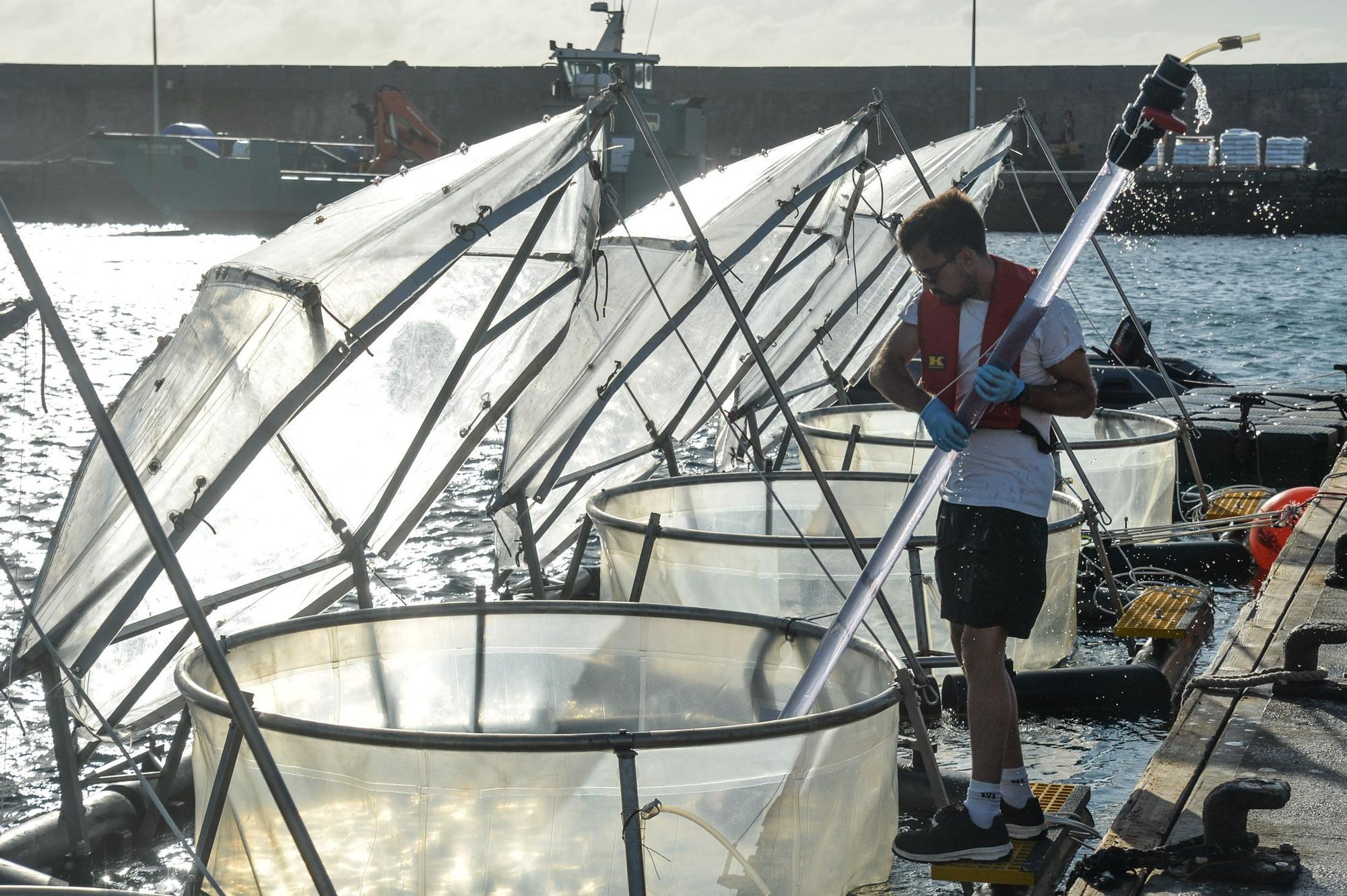 Experimento en el mar para averiguar como eliminar dióxido de carbono