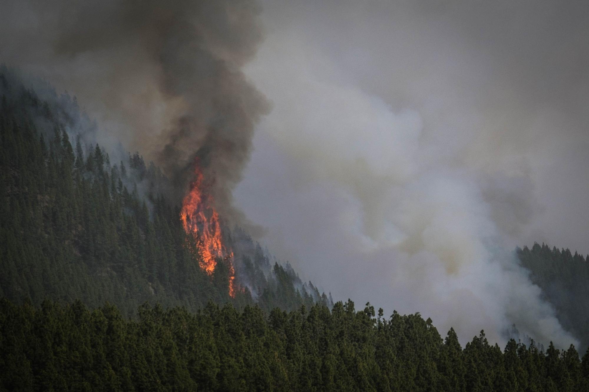 El incendio declarado en Los Realejos el pasado jueves afecta ya a cuatro municipios