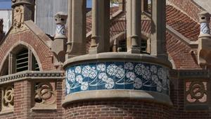 Cocodrils a Sant Pau