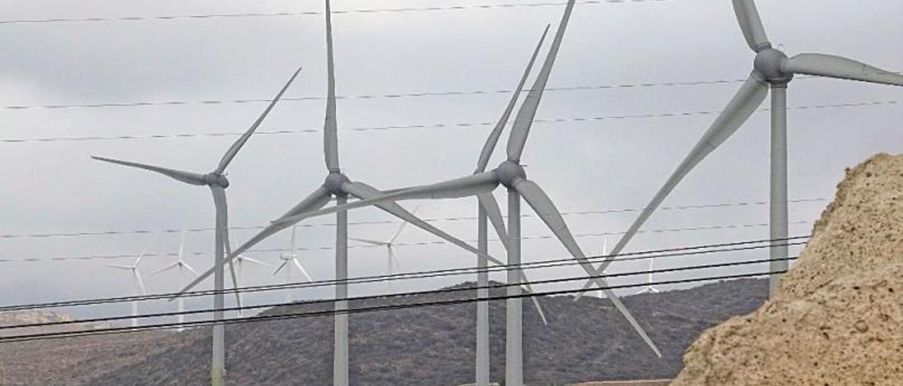 Parque eólico ubicado en uno de los márgenes de la TF-1.