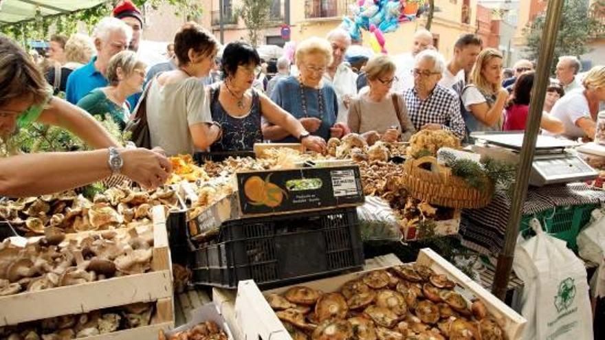 Exposició de bolets en un moment alt de la temporada de cerca.