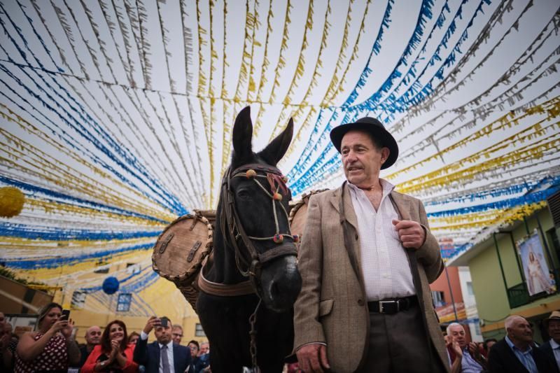 Homenaje a los cochineros de Icod el Alto