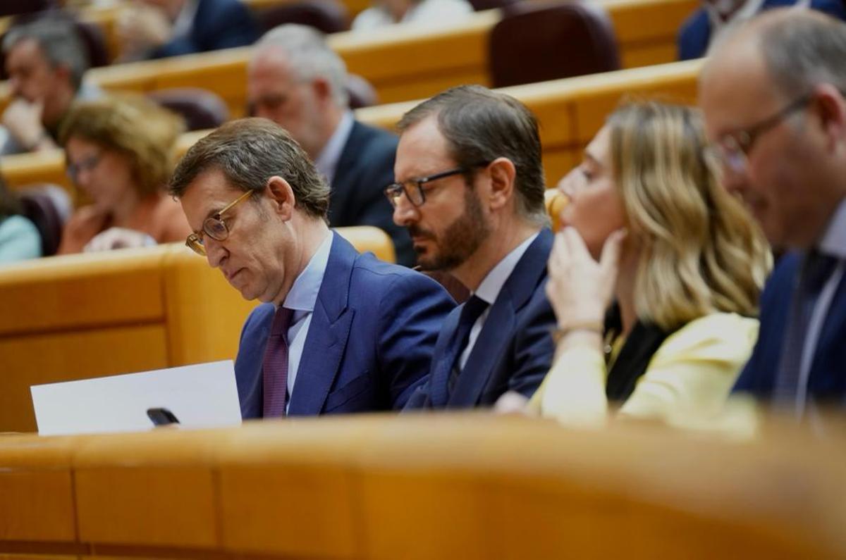 Alberto Núñez Feijóo, este miércoles, en su escaño del Senado, junto al portavoz, Javier Maroto.