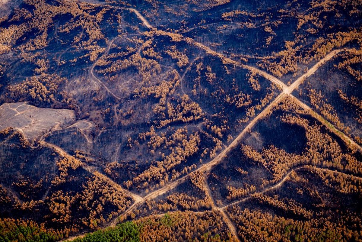 Laza también ardió en esta ola incendiaria