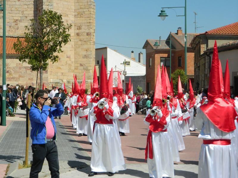 Procesión de Domingo de Ramos en Villaralbo