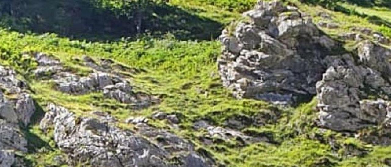 Jesús Álvarez, en Poncebos (Picos de Europa).