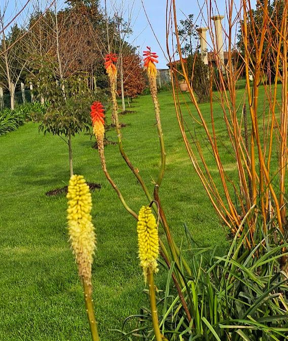 De paseo por el vergel de San Justo, en Villaviciosa