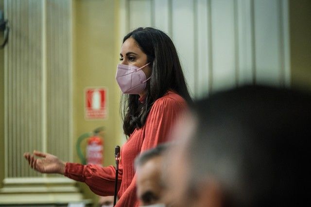 Pleno del Parlamento de Canarias, 23/11/2021