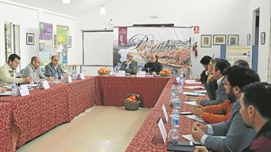 Alcaldes del Valle del Guadalquivir ratifican su apoyo al sector citrícola
