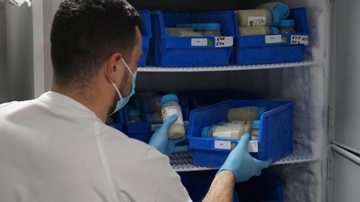 Un sanitario introduce botes de leche materna en un congelador.