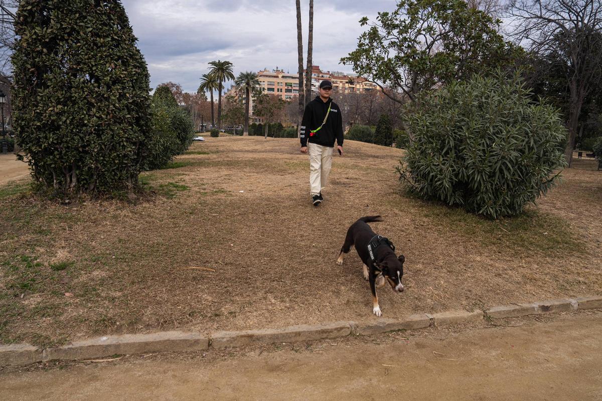 La sequía afecta los espacios verdes del Parque de la Ciutadella en Barcelona