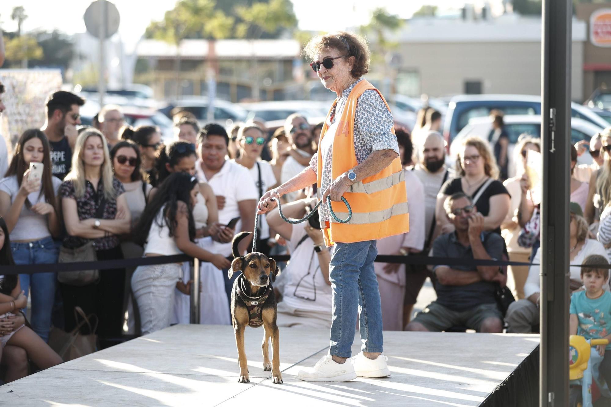 FOTOS | Desfile de Peluditos: Varios perros de Son Reus buscan un hogar