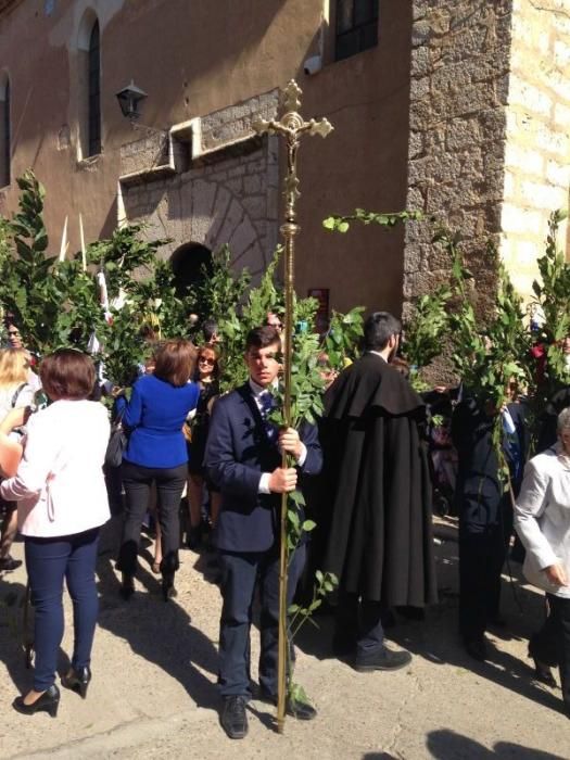 Semana Santa en Toro: La Borriquita