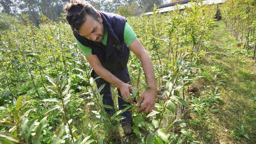 Hifas da Terra es un centro de biotecnología centrado en la investigación y la innovación. // Gustavo Santos