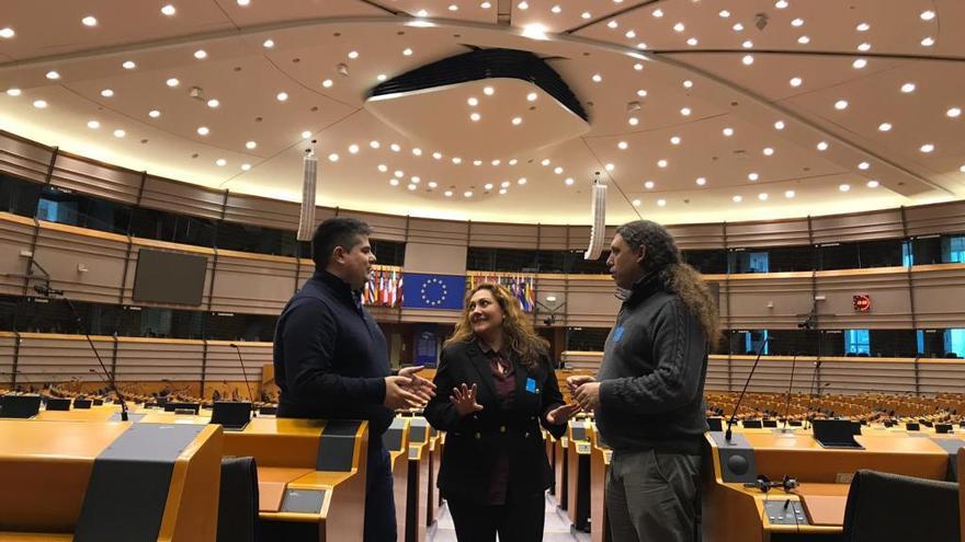 Charlín, Cores y Oubiña en el Parlamento Europeo